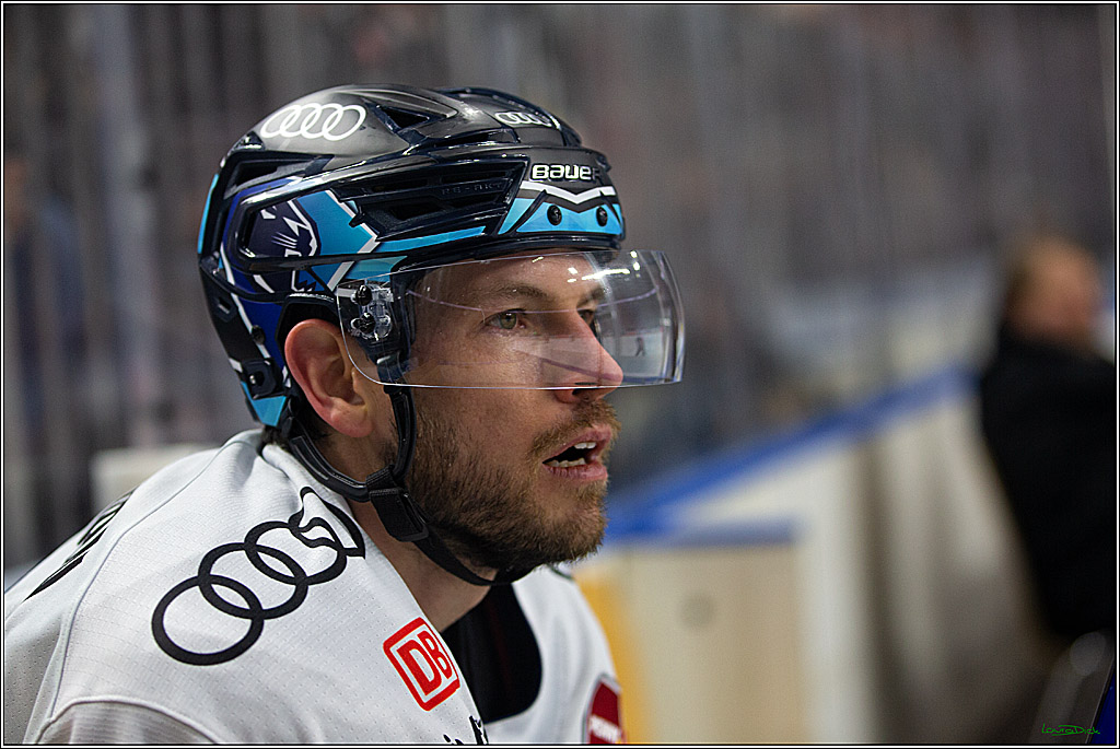 PENNY DEL;  Kölner Haie - ERC Ingolstadt; Köln, 25.11.2022